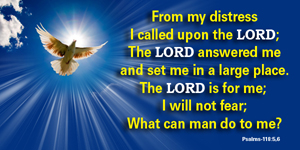 The Lord set me in a LARGE place.